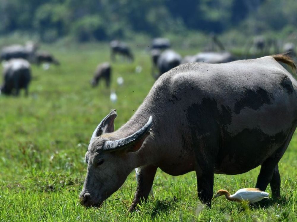 6hmkebau1_1683356009