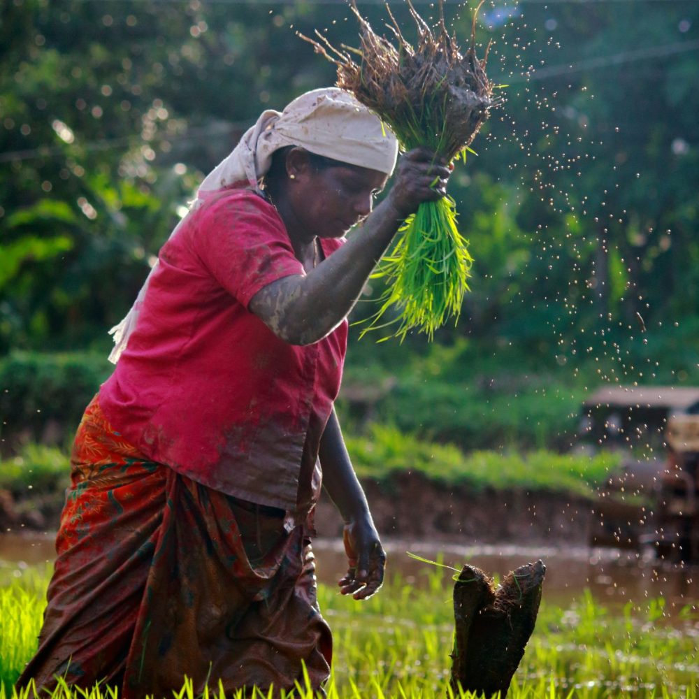 nandhu-kumar-5NGTf4oD8RA-unsplash