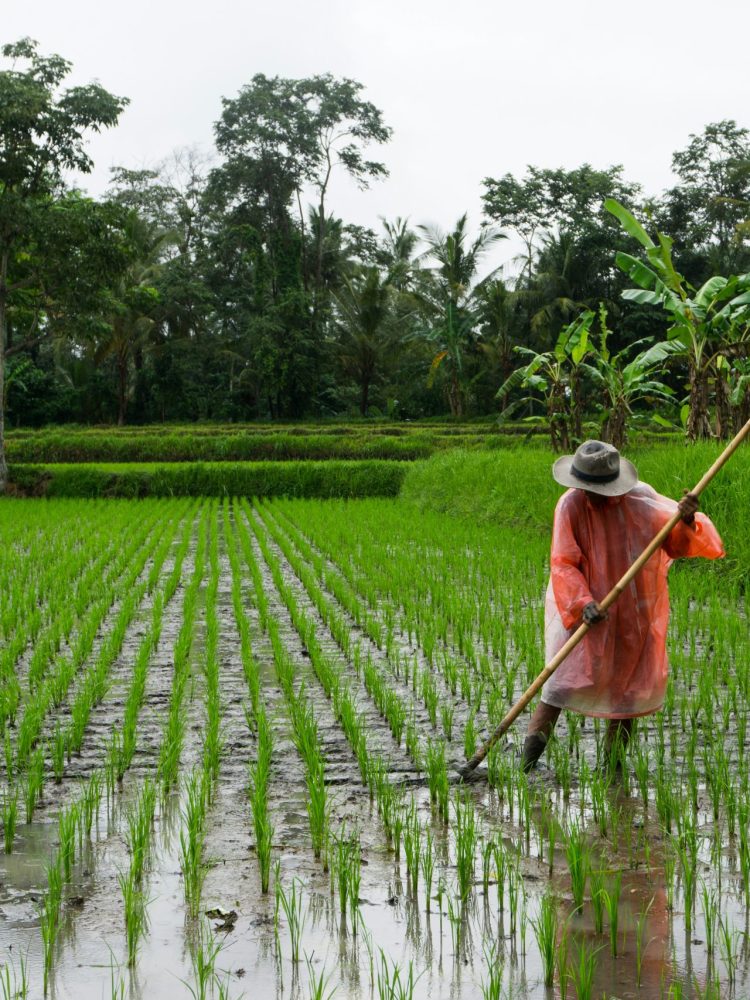 simon-fanger-6_ee0s7d0Ck-unsplash